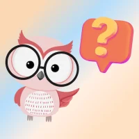 Sınav Bilgi Kartları